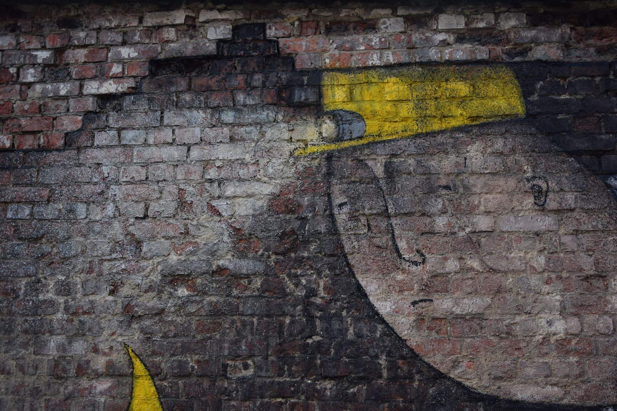 bisser-new-street-art-mural-arendschot-in-aarschot-belgium-2016