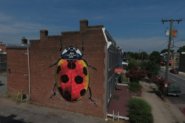 ASVP, Richmond Mural Project 2016 Photo credit TostFilms