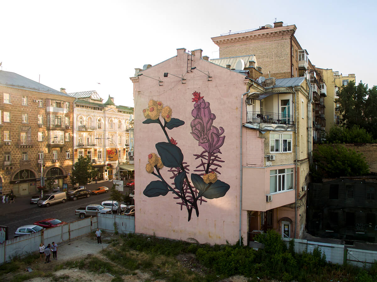 Street Artist Pastel paints thistles in Kiev, Ukraine 2016