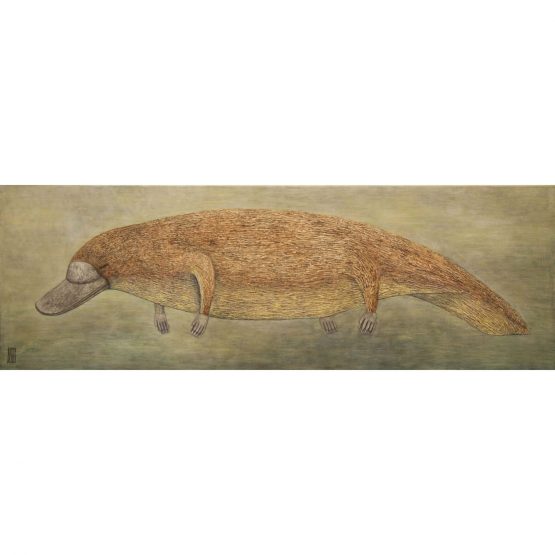 Bisser - Platypus Canvas