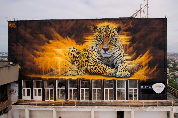 Sonny, To the Bone Street Art Mural, Far Eastern Leopard, Vladivostok Russia 2017. Photo Credit Tess Cunliffe.