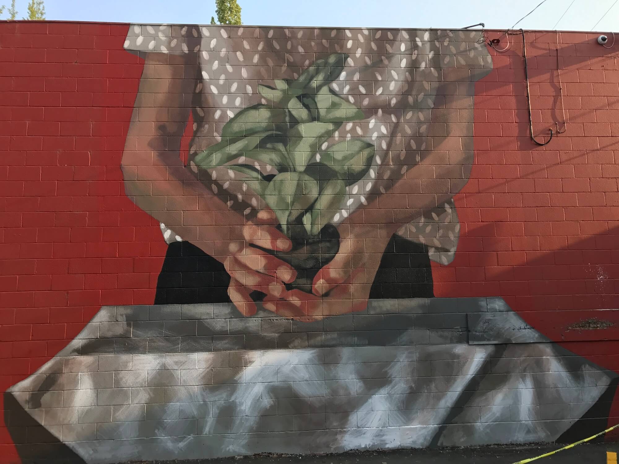 Street Artist Hyuro’s Latest Mural Reverses Destruction, Eugene, Oregon 2017