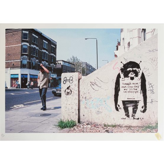 Steve Lazarides - Ape Rule