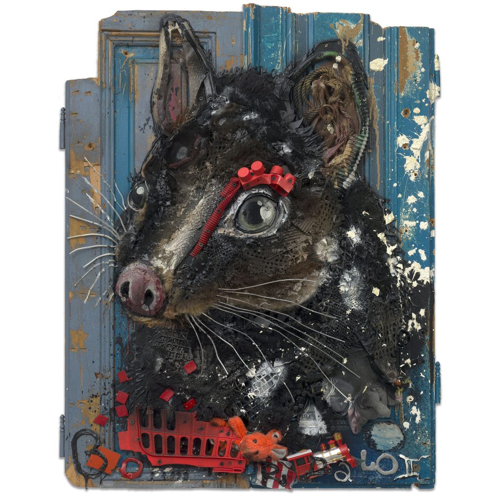 Bordalo II - Eastern Quoll FX (2025)