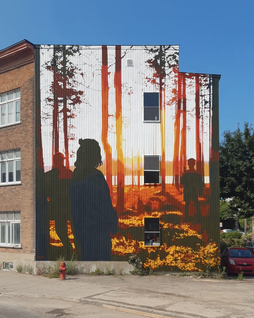 Quebec-City-mural-FLAG-by-Belgian-artist-Nean-819x1024.jpg