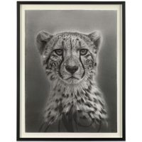 Sonny Sundancer - NIA (2025)