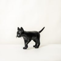 Ricardo Romero - CAT#000 (Black)