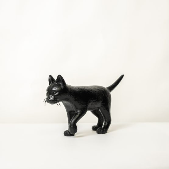 Ricardo Romero - CAT#000 (Black)