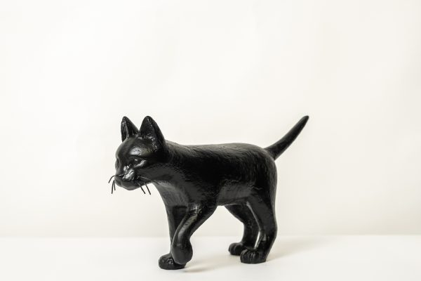 Ricardo Romero - CAT#000 (Black)
