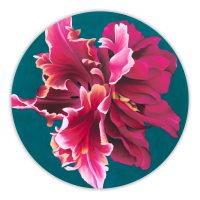 Sophie Mess - Equinox (2026)