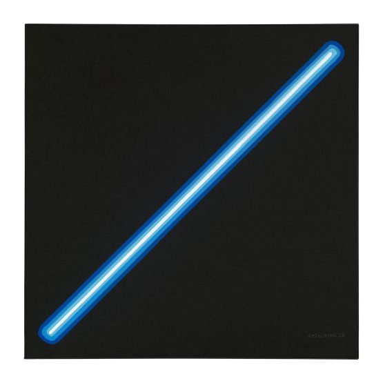 Spidertag - Blue Diagonal /26