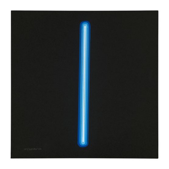 Spidertag - Blue Vector /26